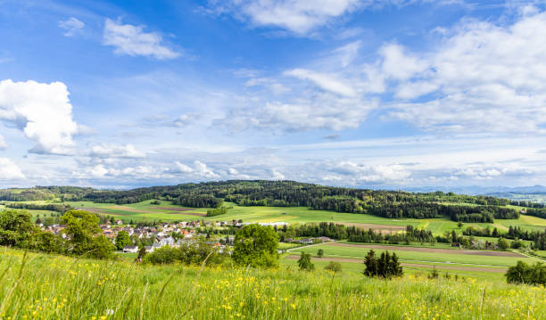 istock View of a forest, fields and village on the hills against a cloudy sky 1500342985