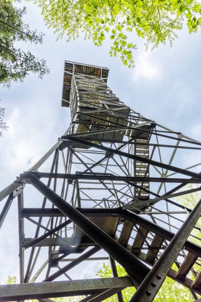 istock A hunting tower stands in a forest against a cloudy sky 1500343058