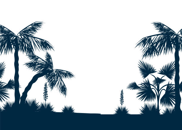 illustrations, cliparts, dessins animés et icônes de silhouette de paysage tropical - palma majorque