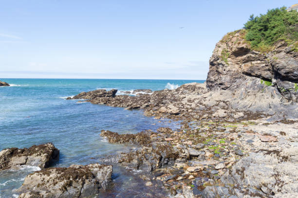istock Coastline path near Port Isaac- Cornwall - UK 1500346820