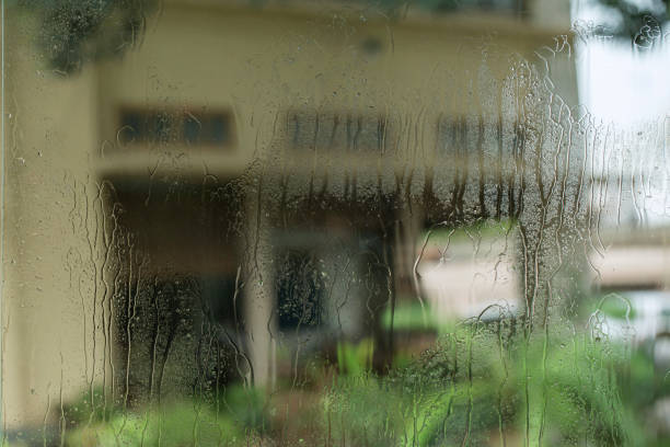 Rainy window focused with background blurry stock photo
