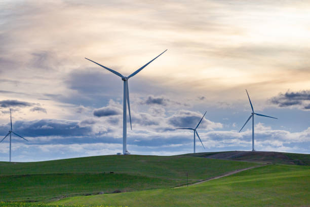 Wind turbines generating renewable green energy in South Africa stock photo