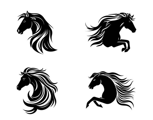 흰색 배경에 격리된 말의 얼굴 로고 세트 - horse white horse animal head horse racing stock illustrations