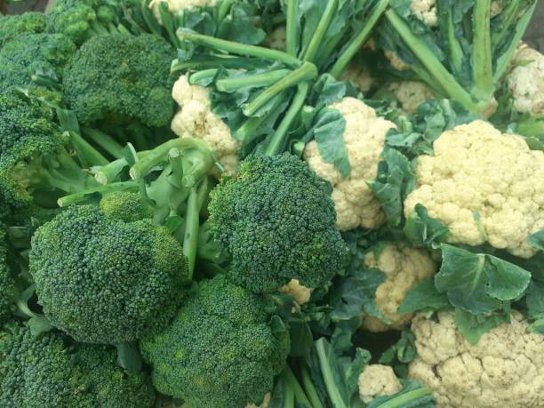 istock Broccoli is an edible green plant 1500355062