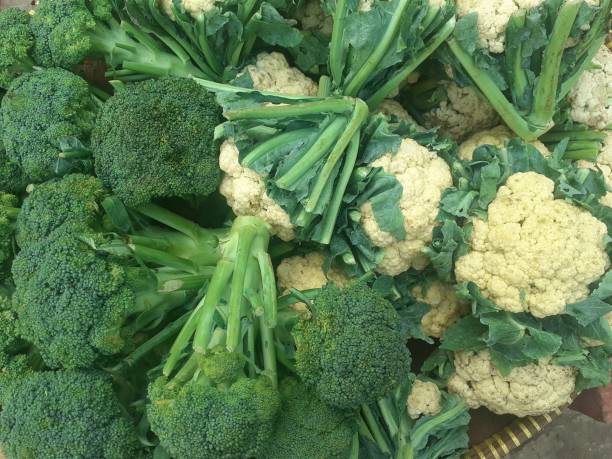 istock Broccoli is an edible green plant 1500355098