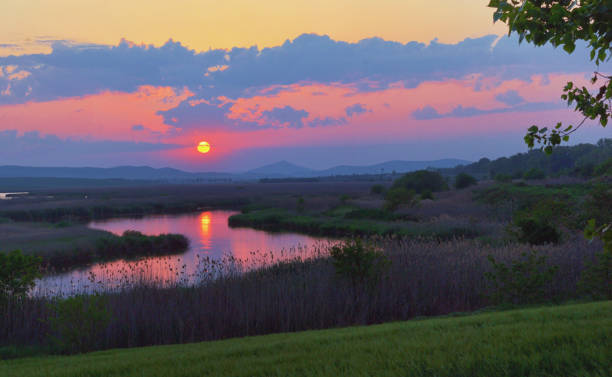 Sunset on Danube Delta in Romania stock photo