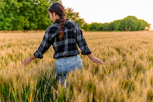 Farmer walking in wheat field