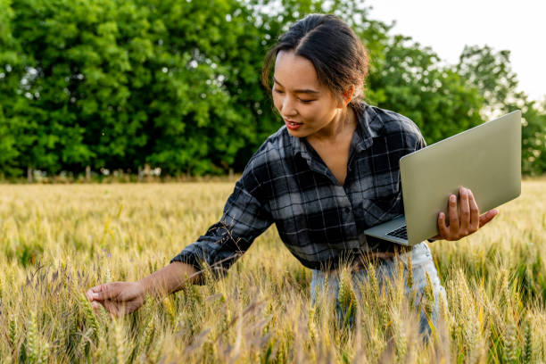 istock Plant protection and agribusiness concept 1500359307