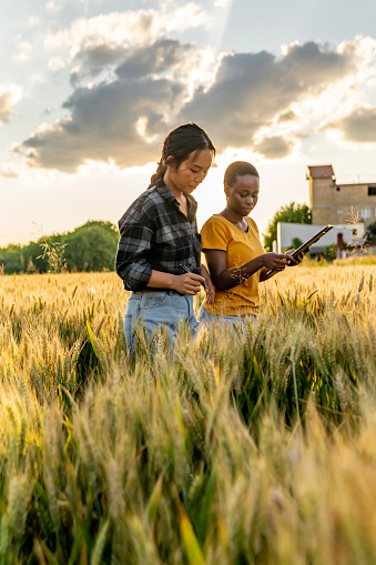 Farmer and insurance sales representative talking in field