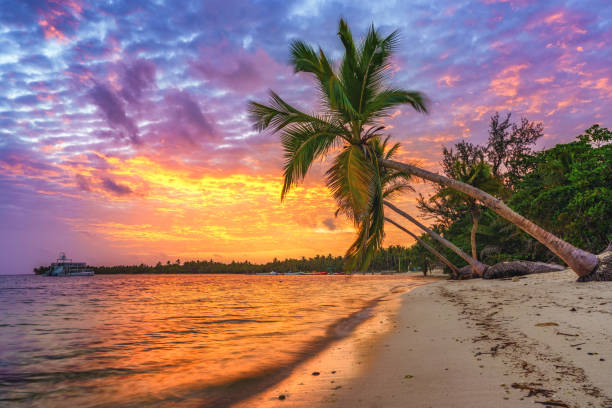 istock Beautiful sunrise over tropical beach 1500363068