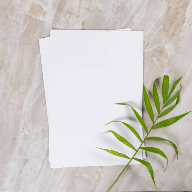 istock Flat lay design of blank paper 1500363155