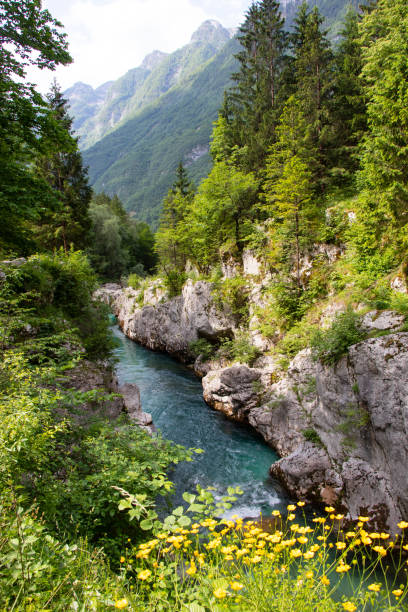 istock Hiking in the Soca Valley in Slovenia 1500366881