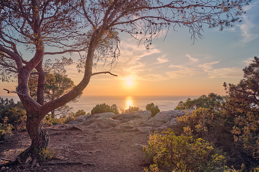 A scenic sunset seen through the pine groves of Sa Penya Esbarrada, popularly known as Las Puertas del Cielo (Heaven's Doors), a rough cliff located on the northwestern coast of Ibiza. Picturesque clouds, calm waters reflecting the oblique, golden light of a Mediterranean summer sunset, lush pine trees and Mediterranean scrub. High level of detail, natural rendition, realistic feel. Developed from RAW.