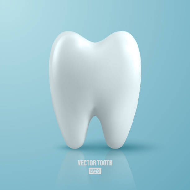 Vector 3d Realistic Tooth. Dental Inspection Banner, Plackard. Tooth Icon Closeup on Blue Background. Medical, Dentist Design Template. Dental Health Concept Vector 3d Realistic Tooth. Dental Inspection Banner, Plackard. Tooth Icon Closeup on Blue Background. Medical, Dentist Design Template. Dental Health Concept. teeth clipart stock illustrations