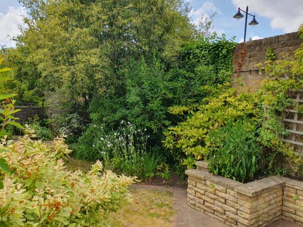 istock A garden with white flowers and trees 1500372438