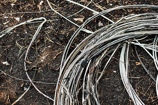 Coil of wire damaged by a wildfire.