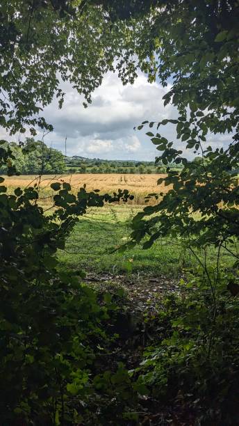 istock Kilkenny Ireland 1500374286