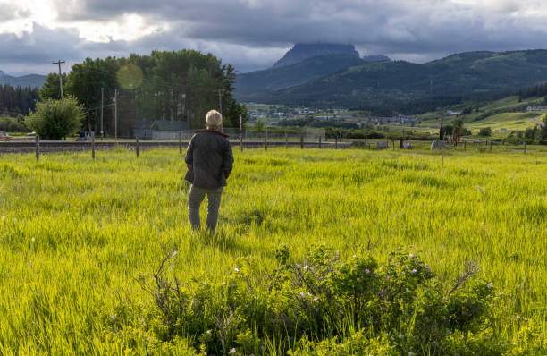 Free Stock Photo of Man Walking Through a Field of Tall Grass ...