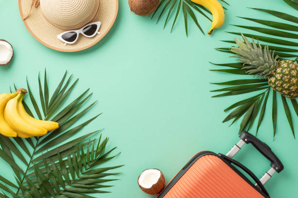 istock Discover paradise against teal backdrop, featuring top view of suitcase, beach essentials, sunglasses, hat, palm leaves, and ripe tropical fruits. Perfect frame for travel promotions 1500376568