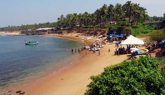Palolem Beach, Goa, India - November, 30 2022: Stock photo showing close-up view of sacred cows being herded along sandy Palolem Beach in Goa, South India, a particularly popular winter holiday destination for both English and German tourists.