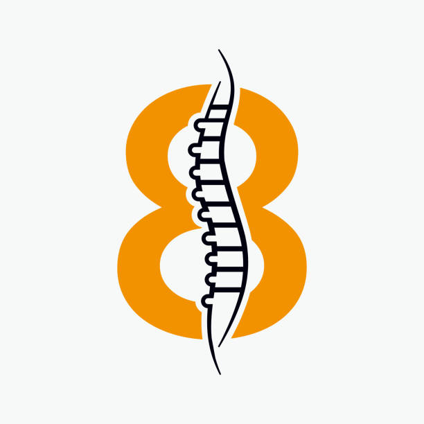 ilustrações de stock, clip art, desenhos animados e ícones de letter 8 orthopedic health bone logo design with back bone icon. bone health logo sign - human spine chiropractic adjustment backache human bone