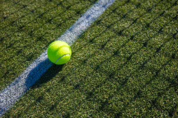 Grass Tennis court