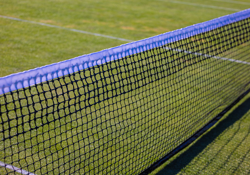 Grass Tennis court