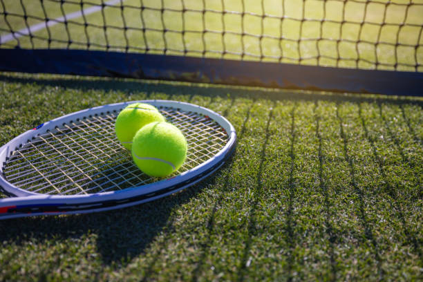 istock Grass Tennis Court 1500399424