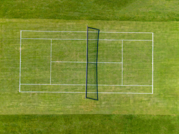 White line on indoor court green floor with african american tennis player standing in background
