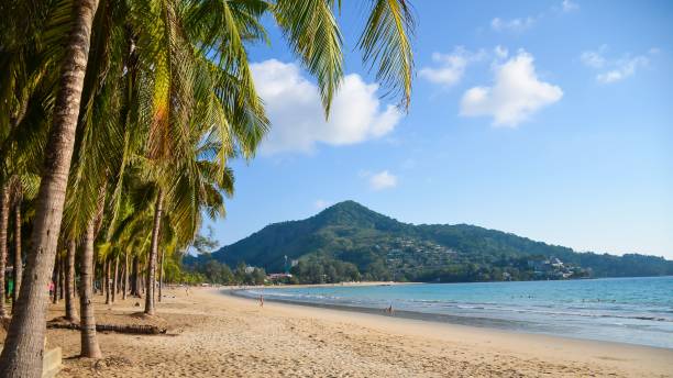 istock Serene beach landscape featuring tropical palm trees against a backdrop of a mountains 1500402325
