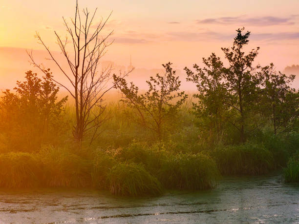istock View of the park landscape river misty dawn 1500404048