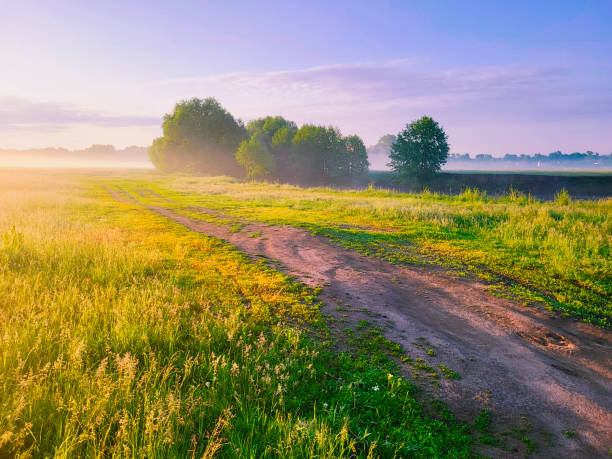 istock View of the park landscape river misty dawn 1500404159