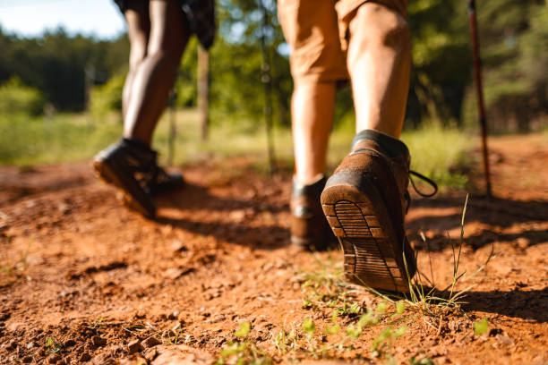 istock Two people hiking in the forest on a sunny day 1500404477