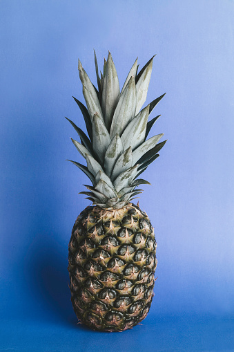 Single pineapple on blue background.
