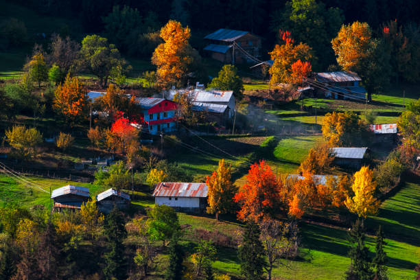 istock Wonderful autumn scenery 1500405817