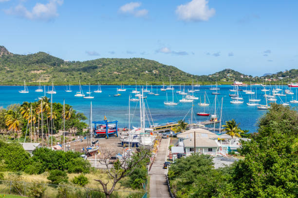 widok na port i lagunę z zakotwiczonymi jachtami na wyspie carriacou, grenada, morze karaibskie - grenada_& zdjęcia i obrazy z banku zdjęć