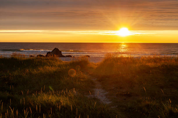istock Sunset on a sandy beach with grass, Lofoten, Norway 1500407273