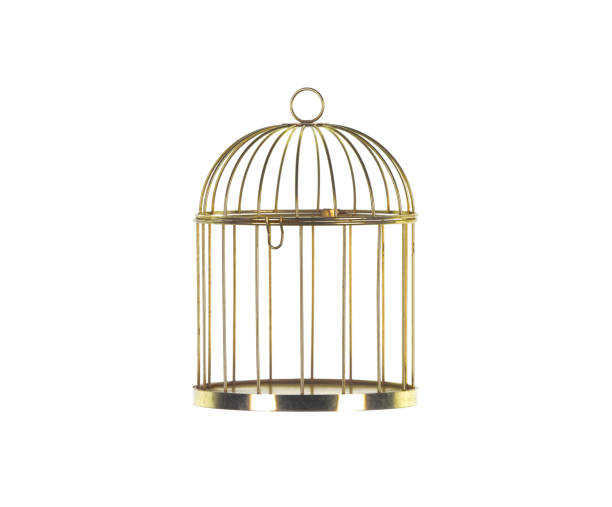 istock golden cage isolated on white background 1500407686