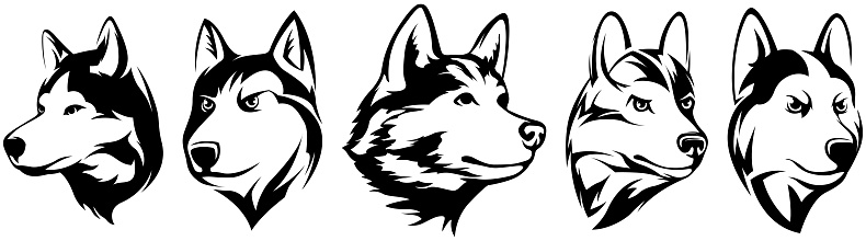 Heads of dogs. Wolf. abstract character illustrations. Graphic of husky design template for emblem. Image of portraits.