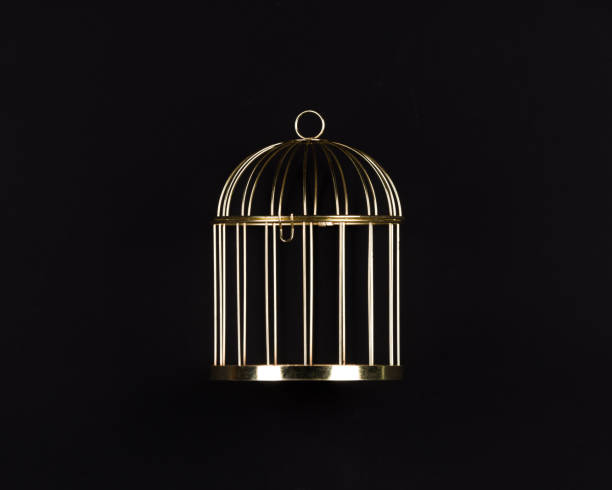 istock golden cage isolated on black background 1500409385