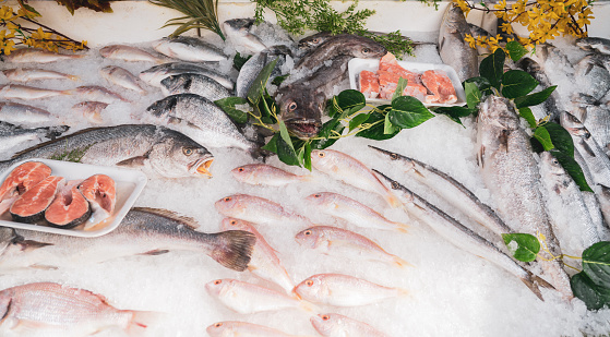 Fresh sea bass and seafood at market counter.