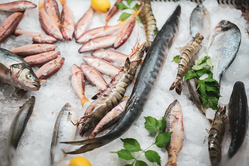 Different sorts of fresh fish on ice on counter at fish market