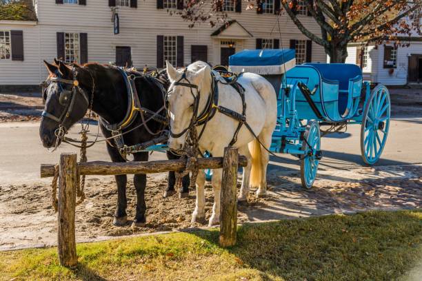 istock Horses and Carriage 1500411133