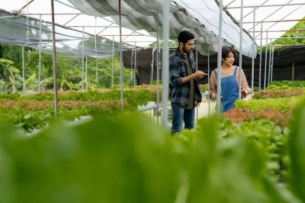 istock Organic farm owner doing business with young man 1500411447