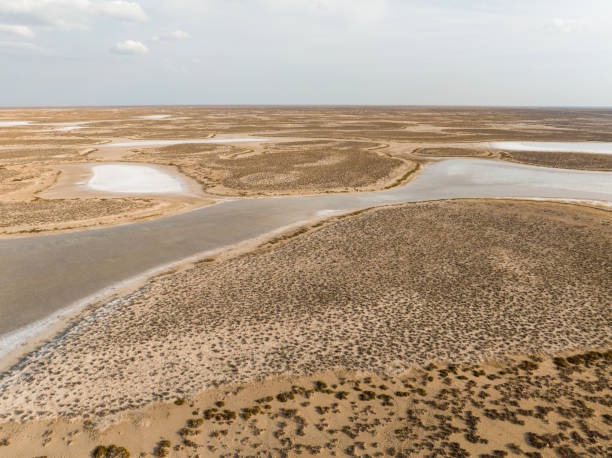 istock Natural shapes and textures on lake 1500414022