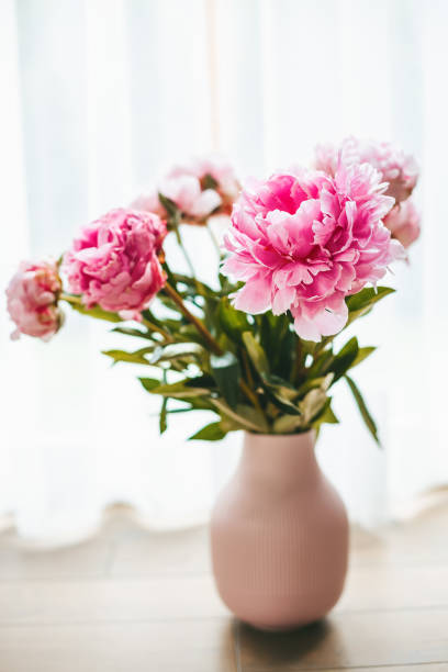 istock Beautiful blooming pink peonies in a vase 1500414123