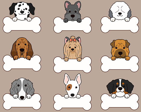 Set of outlined cute and simple dog heads with front paws holding a bone  (Yorkshire Terrier, Sheelpand Dog, Shar Pei, Scottish Terrier, Mountain Dog, Bull Terrier, Borzoi, Blood Hound, Dalmatian)