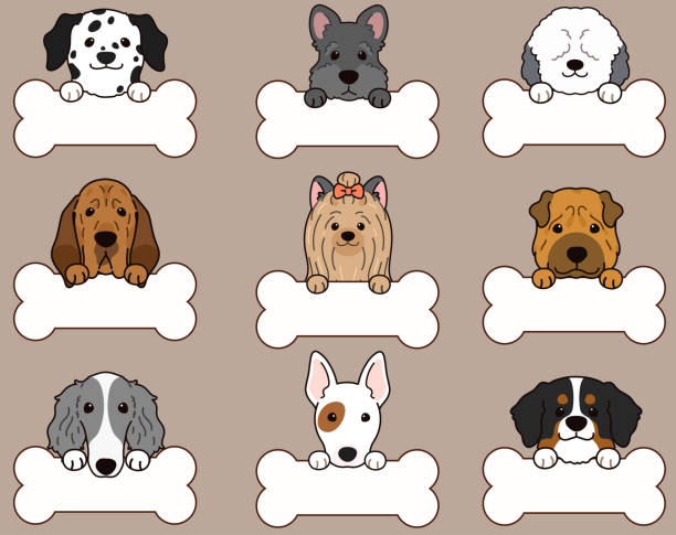 Set of outlined cute and simple dog heads with front paws holding a bone Set of outlined cute and simple dog heads with front paws holding a bone (Yorkshire Terrier, Sheelpand Dog, Shar Pei, Scottish Terrier, Mountain Dog, Bull Terrier, Borzoi, Blood Hound, Dalmatian) bloodhound stock illustrations