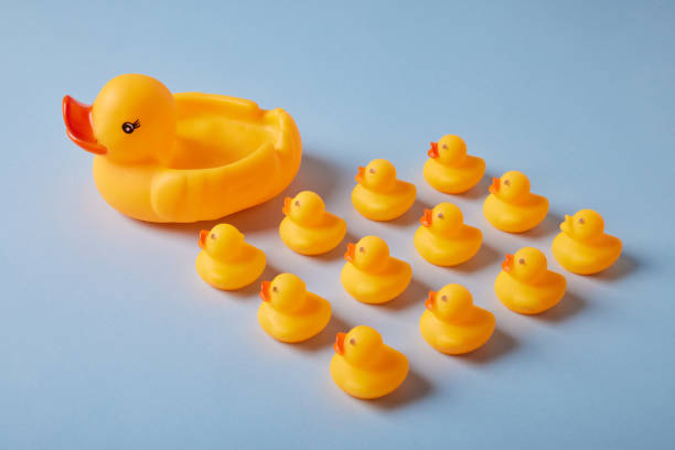 istock toy ducks on a blue background 1500415504