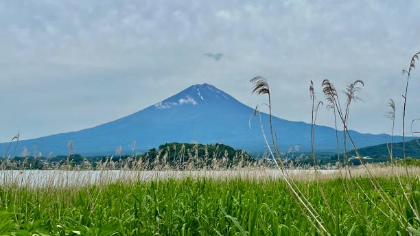 Mount Fuji and Lake Kawaguchi stock photo
